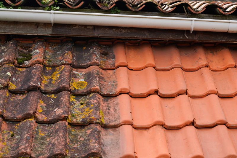 Clay Roof Leak Repair detail